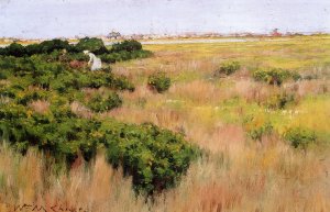 Landscape  Near Coney Island